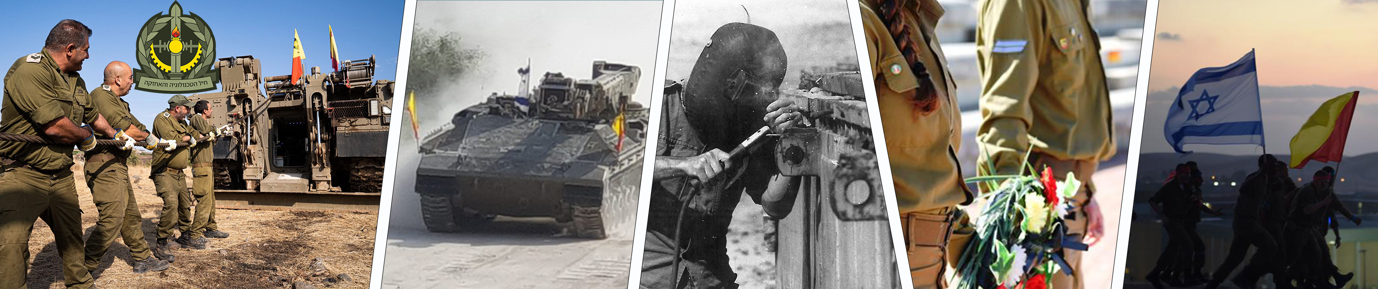 תמונה דקורטיבית